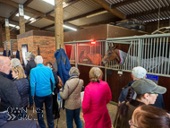 DS110422-125 - Dan Skelton Stable Visit